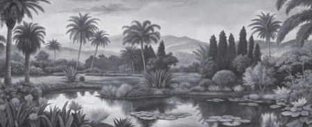 Wall mural and Wallpaper for Dubai & UAE