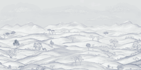 Wall mural and Wallpaper for Dubai & UAE