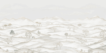 Wall mural and Wallpaper for Dubai & UAE