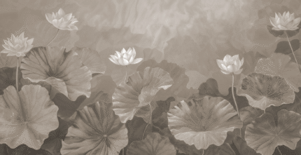 Lotus Haven Wall Mural