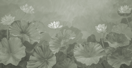Lotus Haven Wall Mural