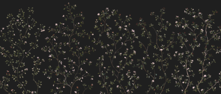 Fragrant Path (Dark) Wall Mural
