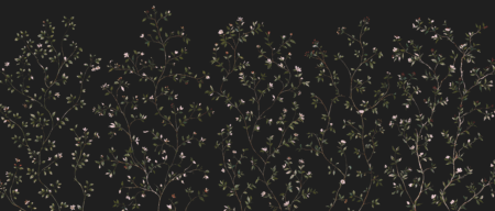 Wall mural and Wallpaper for Dubai & UAE