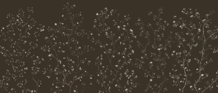 Wall mural and Wallpaper for Dubai & UAE