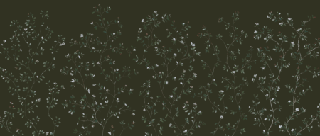 Wall mural and Wallpaper for Dubai & UAE