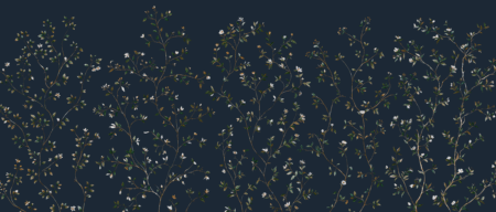 Wall mural and Wallpaper for Dubai & UAE