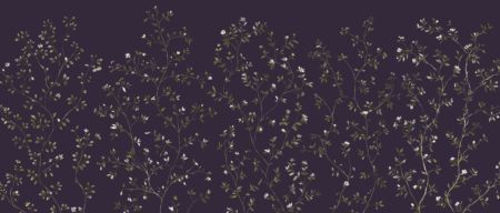 Wall mural and Wallpaper for Dubai & UAE