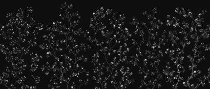 Fragrant Path (Dark) Wall Mural