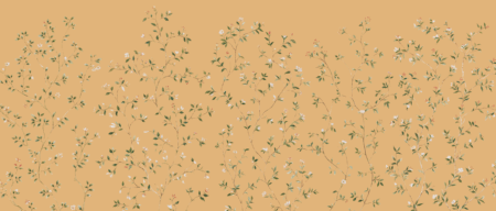 Wall mural and Wallpaper for Dubai & UAE