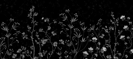 Wall mural and Wallpaper for Dubai & UAE