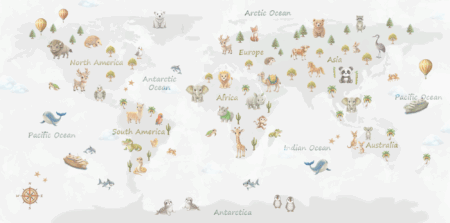 Wall Mural for Children's room.Dubai&UAE