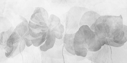 Wall mural and Wallpaper for Dubai & UAE