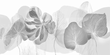 Wall mural and Wallpaper for Dubai & UAE