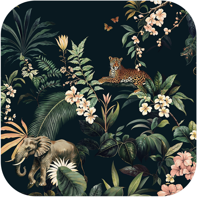Transform Your Walls with Musee