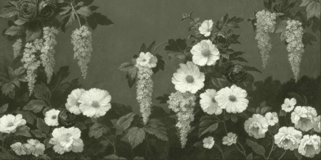 Wall mural and Wallpaper for Dubai & UAE