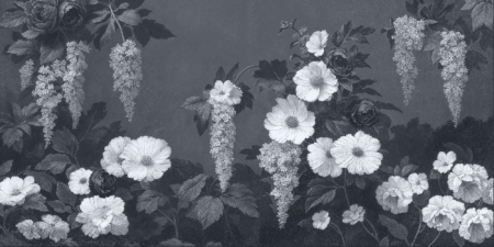 Wall mural and Wallpaper for Dubai & UAE