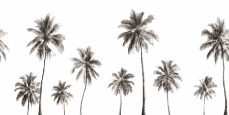 Wall mural and Wallpaper for Dubai & UAE