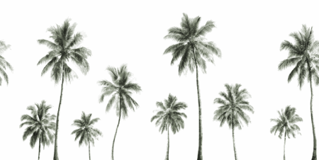 Wall mural and Wallpaper for Dubai & UAE