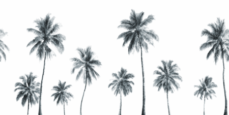 Wall mural and Wallpaper for Dubai & UAE