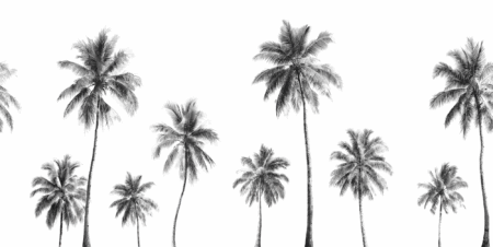 Wall mural and Wallpaper for Dubai & UAE