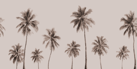 Wall mural and Wallpaper for Dubai & UAE