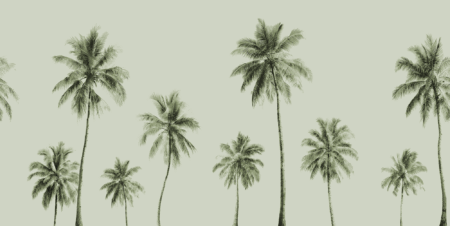 Wall mural and Wallpaper for Dubai & UAE