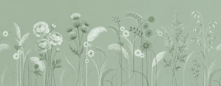 Musee custom botanical wallpaper featuring a delicate wildflower meadow with thistles, blooming flowers, and grasses growing from the bottom edge in a vintage illustration style.