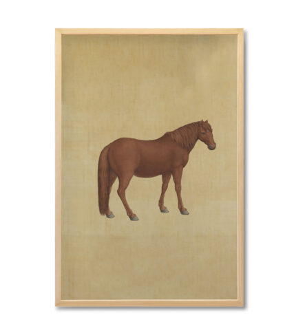 giuseppe castiglione brown horse W092A Natural Wood