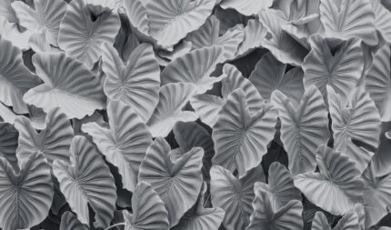 Musee custom wallpaper design showcasing the Carved Oasis pattern in various colorways, featuring contemporary 3D relief botanical art for elegant interiors.H