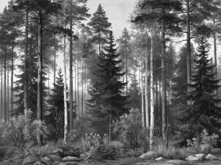 Sylvan Reverie forest wallpaper mural with pine trees, birches and woodland foliage G