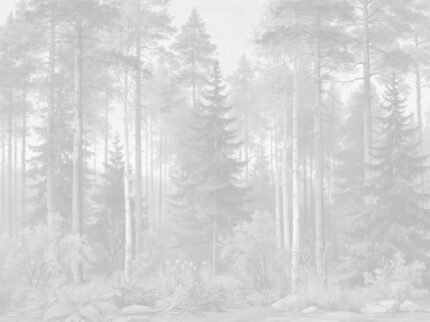 Sylvan Reverie forest wallpaper mural with pine trees, birches and woodland foliage H